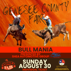 Bull Mania - Sunday, August 30